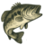 Clear Lake Bass Angler
